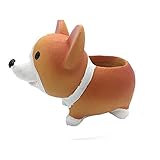 MAGGIFT Animal Shaped Succulent Plant Pot /Cactus Plant Pot/Desktop Flower Pot/Mini Bonsai pot (Style A)