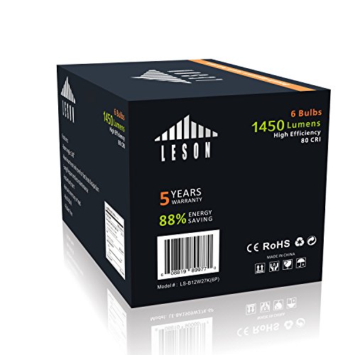 Leson 100 Watt Equivalent A19 Globe LED Light Bulb Standard E26/E27 Base 13W Energy Saving, Soft/Warm White 2700K (6 Pack)