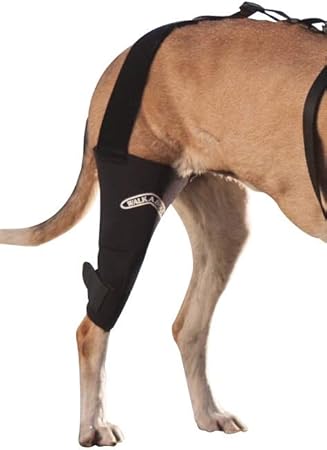 walkabout knee brace for dogs