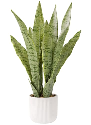 DUZYXI Realistic Snake Plant