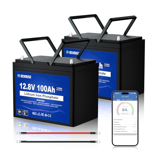 DC HOUSE 12V 200Ah (2 Packs 100AH) LiFePO4 Lithium Battery, Bluetooth & Low Temp Protection, Group 24, Up to 15000 Cycles, 100A BMS, Perfect for Camping, RV, Solar System, Off-Grid