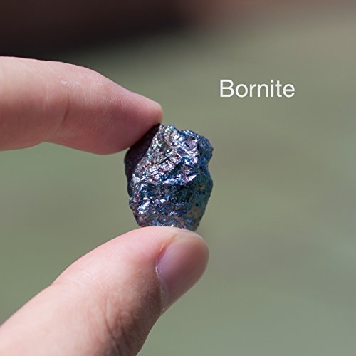 Chillipepperstone 12 Natural Metallic Mineral Untumbled Rock Science Stone Collection - SET 3