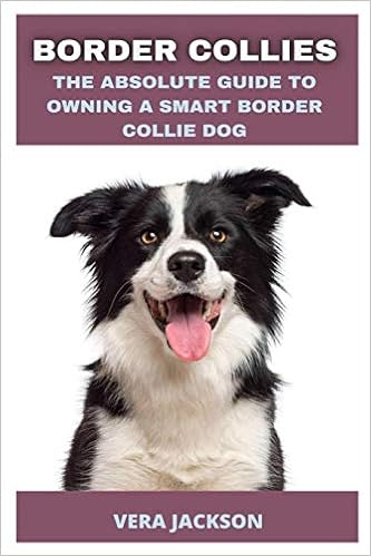 amazon border collie