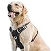 INVENHO Dog Life Jacket Ripstop Dog Safety Vest Adjustable Preserver with High Buoyancy and Durable Rescue Handle for Small, Medium, Large Dogs(L, Black)
