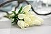 COOBL Artificial Silk Flower High Grade Decorative Tulip Flower Wedding Bouquet Bride Holding Garlands Vine DIY Floral Art Plant Bride Home Decor(20pcs) (White)