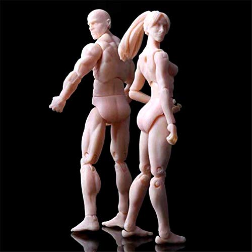 Wandofo He/She Body Set Ver Body-Chan PVC Full Action Figure 3.75inch Collection Toy Gifts (Nude, Male+Female)
