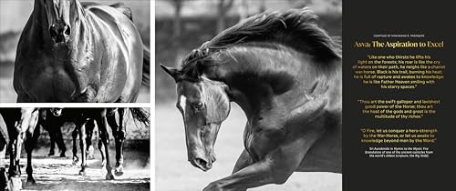 Grit, Grace & Glory: The Usha Story 3