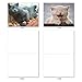 The Best Card Company - 10 All Occasion Blank Cat Cards (4 x 5.12 Inch) - Cute Assorted Bulk Card Set - Smitten Kittens M6485OCB