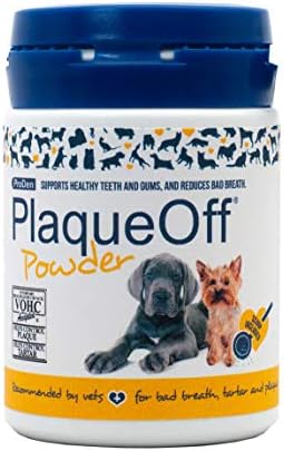 brachycephalic obstructive airway syndrome