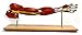 Premium Muscular Arm Model, Medical Quality, Life Sized (24
