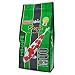 Hikari 4.4-Pound Staple Floating Pellets for Koi and Pond Fish, Medium