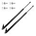 ECCPP Lift Support Liftgate Replacement Struts Gas Springs Fit For Mazda MPV 2.5L 2000-2001,For Mazda MPV 3.0L 2002-2005 Set of 2