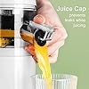 Slow-Juicer-DEWINNER-MINI-Cold-Press-Masticating-Juicer-MachineQuiet-Motor-with-Reverse-Function-BPA-Free-Compact-Size-Extractor Slow Juicer, DEWINNER MINI Cold Press Masticating Juicer Machine,Quiet Motor with Reverse Function BPA Free, Compact…