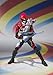 Bandai Tamashii Nations akibaranger Super AkibaRed Action Figure by S.H.Figuarts