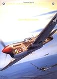 P-40 Warhawk Aces of the MTO (Osprey Aircraft of the Aces No 43)