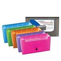 BAZIC 13-Pockets Coupon/Personal Check Size Expanding File
