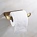 Rozin Wall Mounted Toilet Paper Holder Antique Brass Finish
