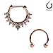 Ruifan 16G Horseshoe Circular Barbell and Nose Ear Daith Septum Clicker Ring with Clear CZ Gems 316L Surgical Steel 2PCS - Rose Gold