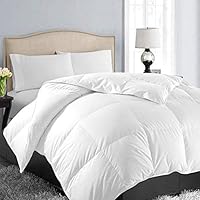 EASELAND All Season King Soft Quilted Down Alternative Comforter Hotel Collection Reversible Duvet Insert with Corner Ties,Winter Warm Fluffy,White,90 by 102 Inches