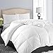 EASELAND All Season Twin/Twin XL Size Soft Quilted Down Alternative Comforter Reversible Duvet Insert with Corner Tabs,Winter Summer Warm Fluffy,White,64x88 inches