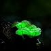 Glow in the Dark Mushroom Growing Log Spawn Plugs and Write On Tag