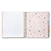 2019 Organized Chaos, 12 Month Daily Planners/Calendars: Tri-Coastal Design Planners with Monthly, Weekly and Daily Views - Personal Planner Notebook for Work or Home