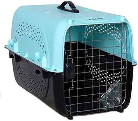 small dog buy online