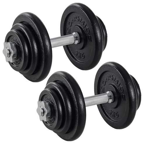 SONGMICS Hanteln, Hantelset aus Gusseisen, Kurzhanteln, 2 x 20 kg, verstellbar, Workout, Fitnesstraining, Gewichtheben für Zuhause, Fitnessstudio, tin