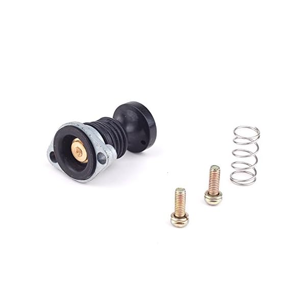 Carburetor-Primer-Pump-Spring-Screws-Kit-for-Honda-Fourtrax-TRX-300-1988-2000