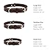 Genuine Leather Dog Collar with Alloy Buckle and Double D Rings (Large, Brown)