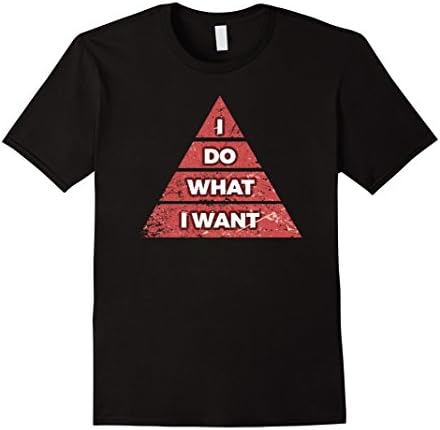 Mens Honest Tees: I Do What I Want Funny T-Shirt With Pyramid Large Black