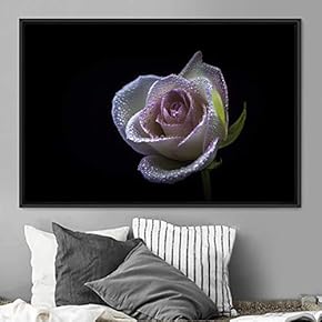 signwin Framed Canvas Wall Art Rose Bohemian Dark...
