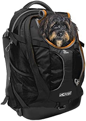 cat backpack carrier hiking