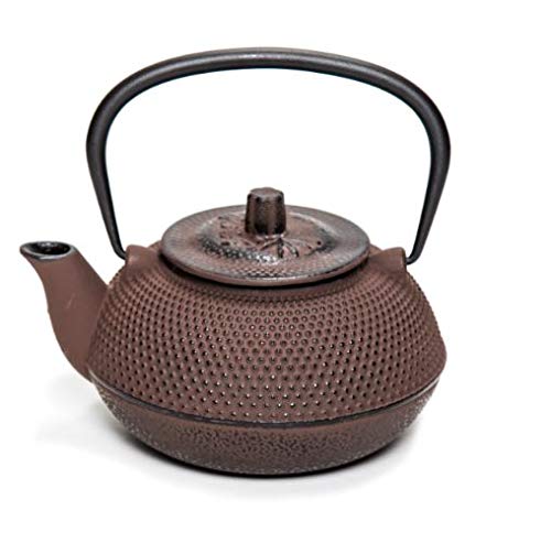 Traditional Brown Japanese Style Cast Iron Teapot 0.5L - with Strainer