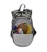 Mini Preschool All-in-One Backpack for Toddlers and Kids with Insulated Cooler for Water Bottle, Camo Airplane Design for Active Boys and Girls, Measures 14.5 in x 10 in x 5.5 in - Obsersee