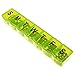 Large 7 Day Pill Box - Weekly Pill Organizer -Pill Storage- Vitamins- Medications- Supplements - Fish Oil ∣ Pill Case - Dispenser - Holder -Translucent Lime Color ∣Pill Organizer by Survive! Vitamins