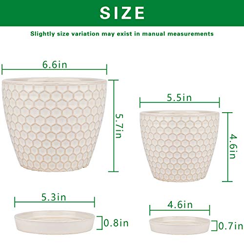 Docrin Plant Pots Indoor 6.6 and 5.5 Inch,Ceramic Planters with