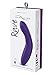 We-Vibe Rave G-spot Stimulator for Women - Vibrating Sex Toy - Curved Vibrator for Adults with 10 Vibration Modes, App Controlled Stimulation - Purple