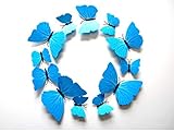 Best Quality - Fridge Magnets - 12Pcs/Set Butterfly