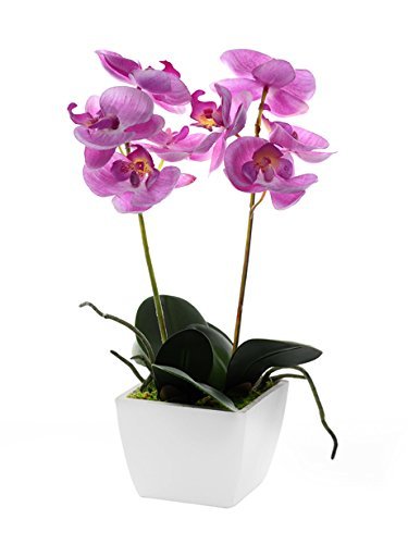 CB Imports Artificial Mini Orchid in a Pot - 34cm Including Pot (34cm, Pale Pink)