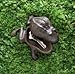 RUNADI Furniture Creations Garden Frog Outdoor Hide A Key Hider Cast Iron Charming