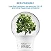 TORCHSTAR A19 LED Light Bulbs 60W Equivalent, UL Listed, 5000K Daylight, Dimmable, 9W, 800lm, Flicker Free, E26 Standard Base LED Bulb for Ceiling Fan, Lamp, 15,000hrs, Pack of 6
