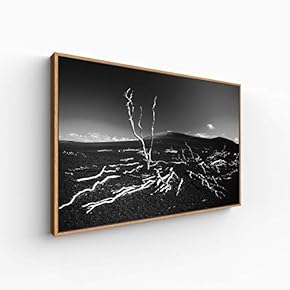 Canvas Wall Art for Living Room, Bedroom Monochrome Landscape Framed Canvas Prints for Home Decoration Ready to Hang - 16x24 inches