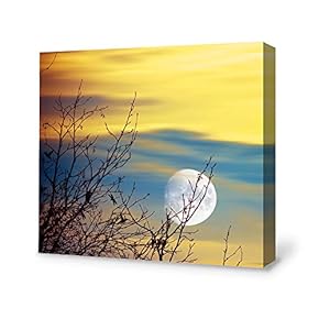 Canvas Wall Art for Living Room,Bedroom Home Artwork Paintings Secret Paradise Under The Moonlight Ready to Hang - 12x12 inches