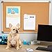 Blue Summit Supplies 24 Inch x 36 Inch Corkboard with Aluminum Frame, Bulletin Board with Included Push Pins for Office, Classroom, or Home, Mounting Hardware Included
