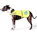 SafetyPUP XD Dog Reflective Vest – Hi-Vis Fluorescent Visibility That Helps to Safeguard Your Pet On/Off Leash in Urban & Rural Areas (Yellow, Large)