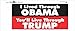 I Lived thru Obama - Trump Political Bumper Sticker