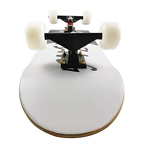 1 DINBIN+Skateboard+Complete+Skateboards+Canadian