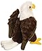 Wild Republic Bald Eagle Plush, Stuffed Animal, Plush Toy, Gifts for Kids, Cuddlekins 8 Inches
