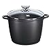 Berndes 697485 SignoCast Classic Stock Pot with Lid, 7- Quart